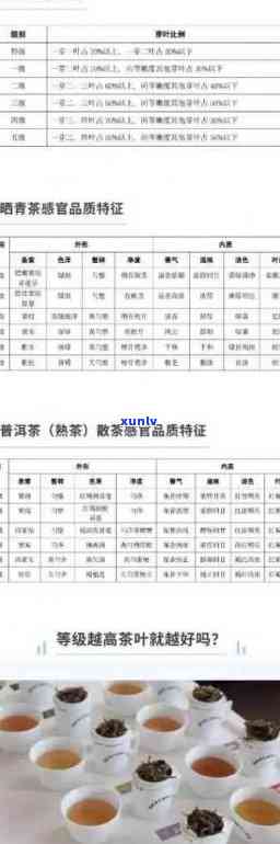 普洱茶等级划分详解：从入门到高手，一文掌握所有信息