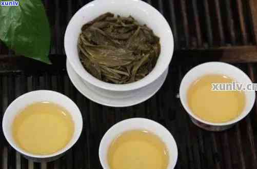 开古树普洱茶：口感特点与品鉴之道