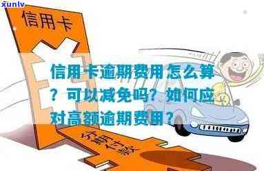 信用卡逾期利息减免申请全攻略：如何高效申请并避免不必要的费用