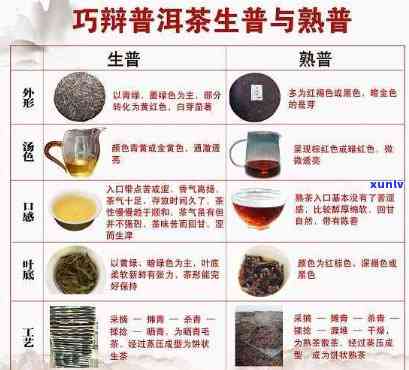 普洱六大名茶全解析：品种特点、 *** 工艺、口感体验一网打尽