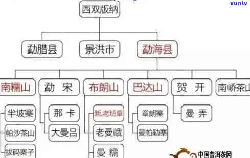 普洱六大名茶全解析：品种特点、 *** 工艺、口感体验一网打尽