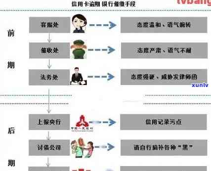 信用卡逾期还款解决全流程：了解退款操作与申请 *** 