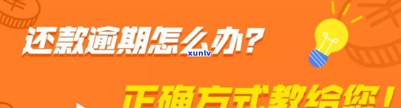 信用卡逾期还款方式及公积金贷款使用详情