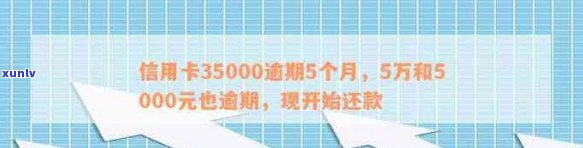 信用卡逾期利息50万怎么算：5000、五十万、判几年？