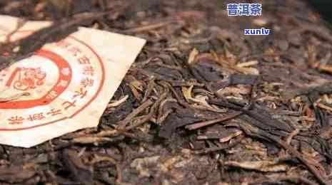 稀有普洱茶品种，每斤高达一万的价格，究竟为何如此值得？