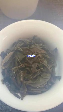 90周年念普洱茶