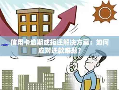 信用卡逾期还款困境：解决方案和建议，助您渡过难关