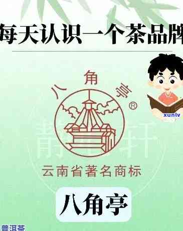 揭秘八角亭普洱茶：知名度低的原因、品质与市场定位