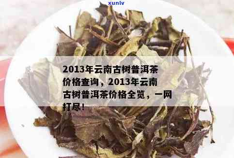 云南古树普洱茶价格解析：百年老树茶叶批发与促销指南