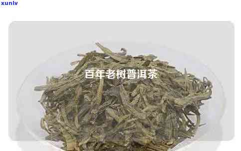 普洱茶百年老树价格