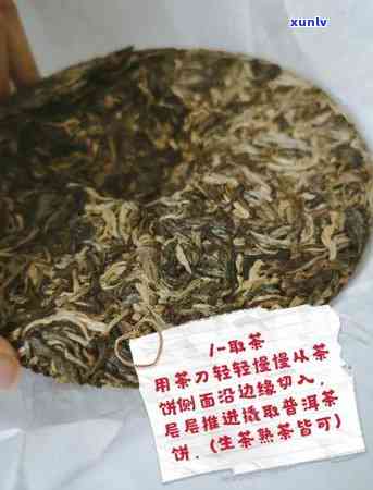 普洱茶基础知识全解：普洱茶基础入门、介绍与讲解，了解普洱茶必备知识。