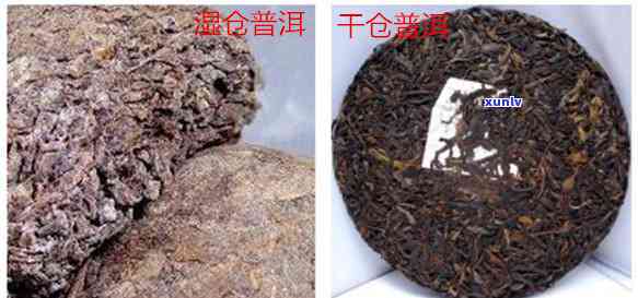 普洱茶基础知识全解：普洱茶基础入门、介绍与讲解，了解普洱茶必备知识。