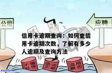 全方位掌握亲友信用卡逾期情况：查询、处理、解决方案一应俱全