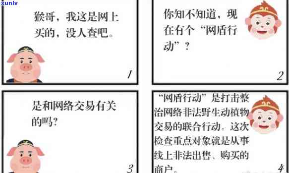 八戒出售：品种、价格、地点和购买流程的全面解析