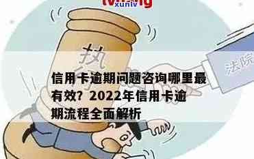 2022年信用卡逾期还款全方位指南：政策、办法、解决步骤详解