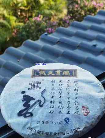 古树普洱茶排行榜：十大著名普洱茶品推荐