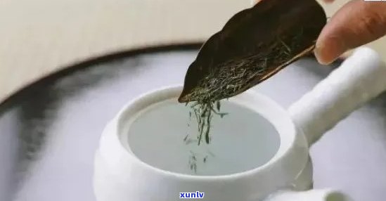 普洱茶冲泡初体验：之一泡是否应该倒掉？解析茶叶品质与冲泡技巧