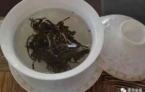 普洱茶冲泡全攻略：如何泡出普洱茶的之一泡？