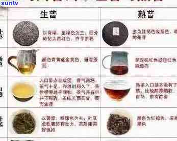 普洱茶的外观特征、 *** 工艺及其品鉴 *** ：一篇全面指南