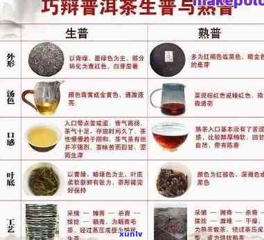 探究普洱茶特级品质及其独特魅力：一份详尽解释与含义