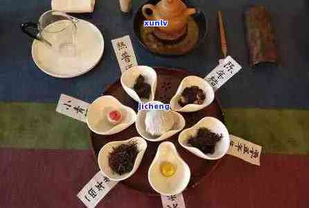 探索普洱茶四大名茶：了解其历、品种和品饮技巧，让你成为普洱茶专家