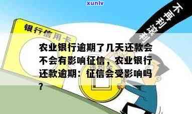 农业银行信用卡逾期4天是否会影响记录及信用评估？