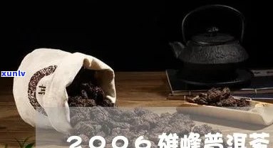 雄峰海纳百川普洱茶：品茗鉴、冲泡技巧、历与文化一网打尽