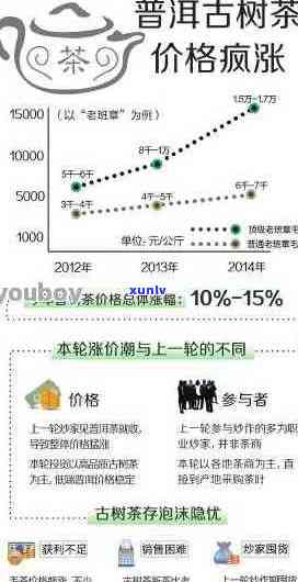 云南普洱茶自产自销新录：揭秘销量领先的十大