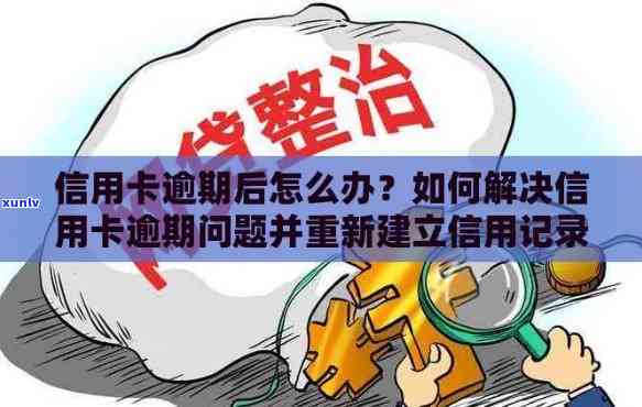 信用卡逾期结清后，如何消除记录并恢复信用？解答常见疑问与策略