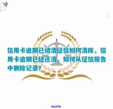 信用卡逾期结清后，如何消除记录并恢复信用？解答常见疑问与策略