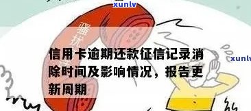 信用卡逾期结清多久更新：信息反馈时间点揭秘