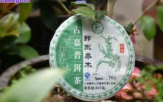 邦东普洱茶料：一款值得尝试的茶叶体验