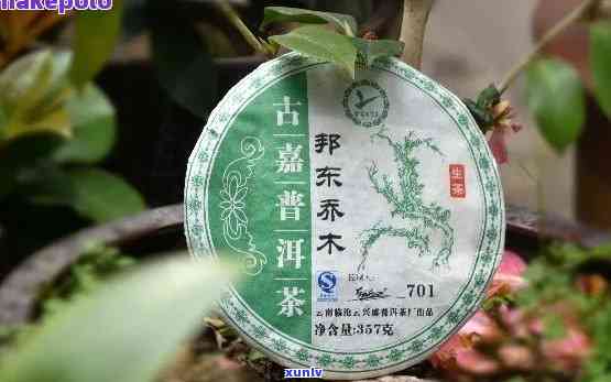 邦东普洱茶料怎么样