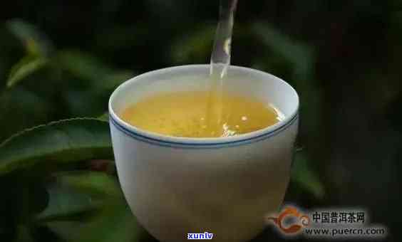 普洱茶春茶四大系列详解：品种特点、品质对比、冲泡 *** 与口感体验