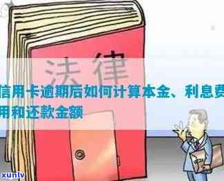 '2018年信用卡逾期本金计算 *** 及利息处理，2021年逾期还款与利息计算'