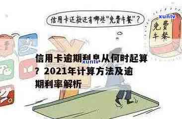 信用卡逾期利息超240怎么算：2021年逾期利息算法及影响解析