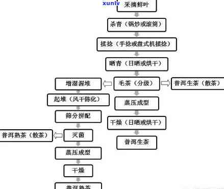 普洱茶发酵第二阶的度和过程，以及它是否代表熟茶或生茶。