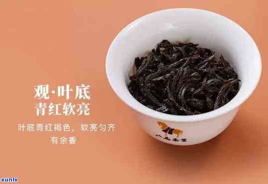 一马当先：武夷岩茶与乌龙茶盒装价位比较，肉与普洱茶价格解析