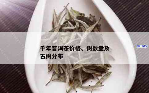 十年古树普洱茶价格及品质分析，了解购买前的必要信息