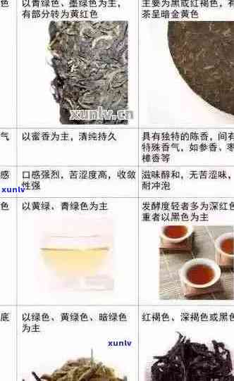 中国四大名茶之普洱茶：品种、 *** 工艺、功效与泡法全面解析