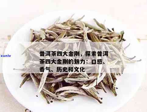 新 四大金刚普洱茶：品质与口感的完美结合