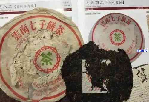 80年代大益熟饼：一份独特的普洱茶韵味，八十年代经典熟茶的魅力回顾