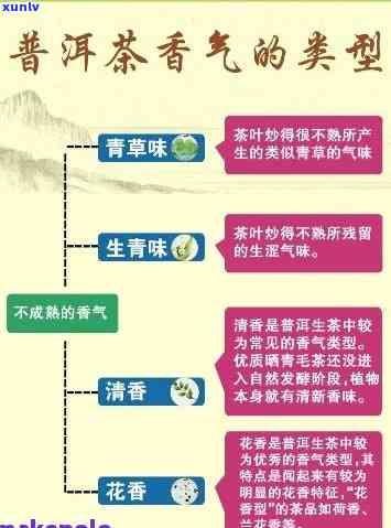 四春普洱茶：品种特点、 *** 工艺与品饮技巧的全面解析