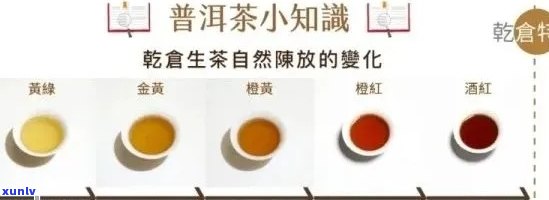 普洱茶一年陈化口感与香气的变化：从新茶到老茶的味觉探索