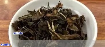 普洱茶长时间泡水后变黑的奥秘解析