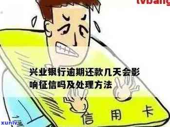 金大福普洱茶市场分析与行情预测：专业资讯与投资指南