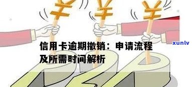 信用卡逾期如何撤销申诉流程：处理逾期与申诉完整指南