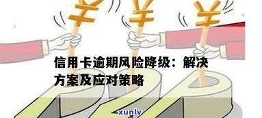 信用卡交易逾期的风险及应对策略：全面解析与防范指南