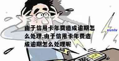 信用卡年费逾期怎么消