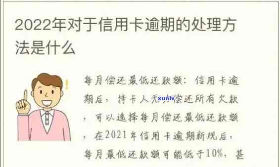 2022年信用卡逾期还款全攻略：政策解读、处理步骤详细解析与最新解决 *** 